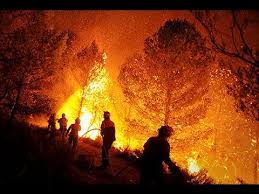 Los Incendios forestales . Artículo destacado en Cibercorresponsales